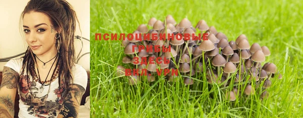 PSILOCYBIN Алексин