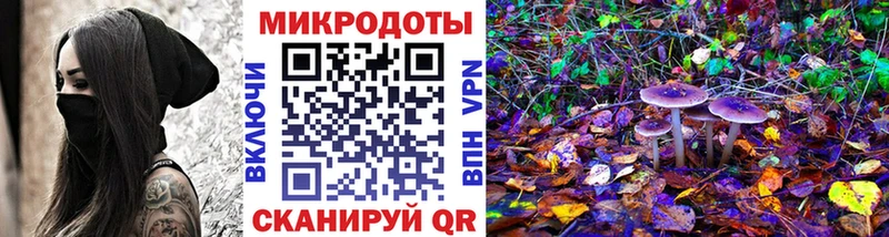 Галлюциногенные грибы Psilocybe  mega зеркало  Алексин 